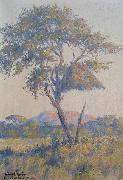 unknow artist Landscape in Namibia Germany oil painting artist
